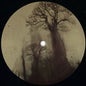 Tuvaband Vs Butch : Trees (12")