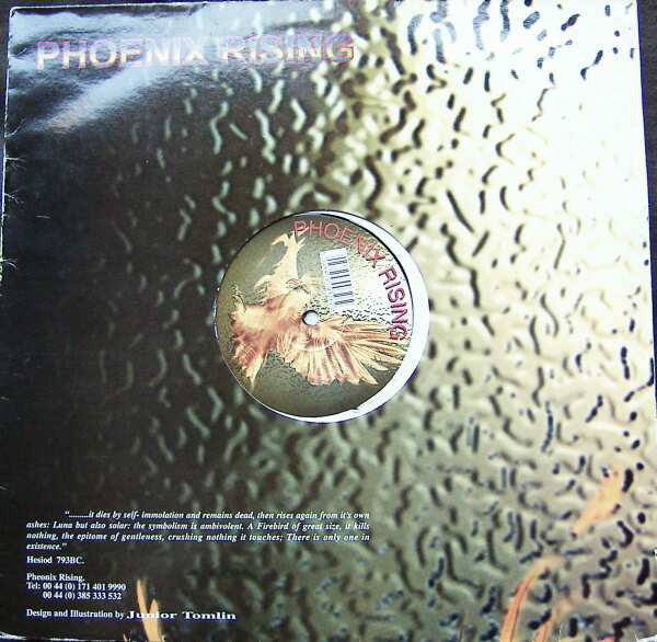 Section X : Galaxian (12")