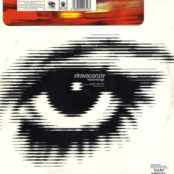 Agnelli & Nelson : Everyday 2002 (2nd 12" Mixes) (12")