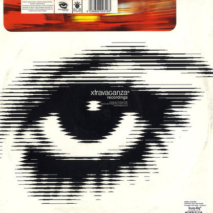 Agnelli & Nelson : Everyday 2002 (2nd 12" Mixes) (12")