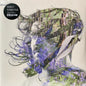 Bibio : Ribbons (2xLP, Album)