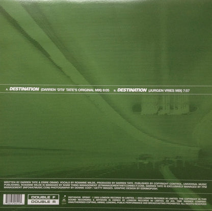 DT8* Feat. Roxanne Wilde : Destination (12")
