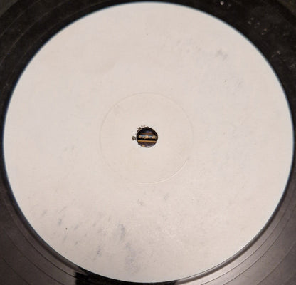 Authentic Individuals : A New Era (12", TP, W/Lbl)