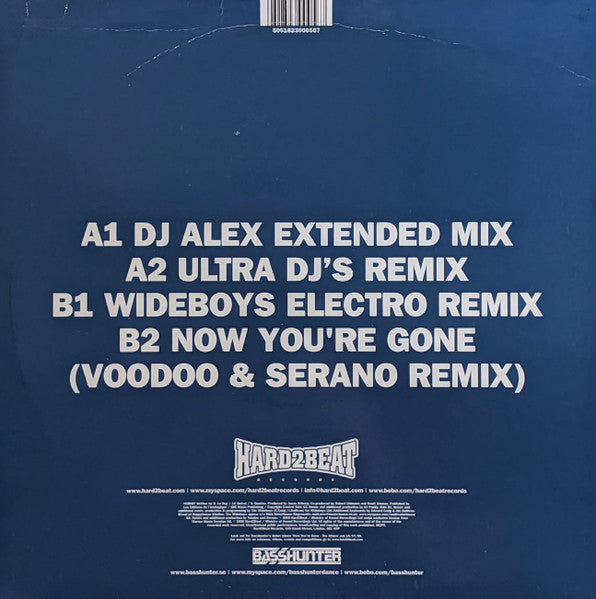 Basshunter : All I Ever Wanted (12")