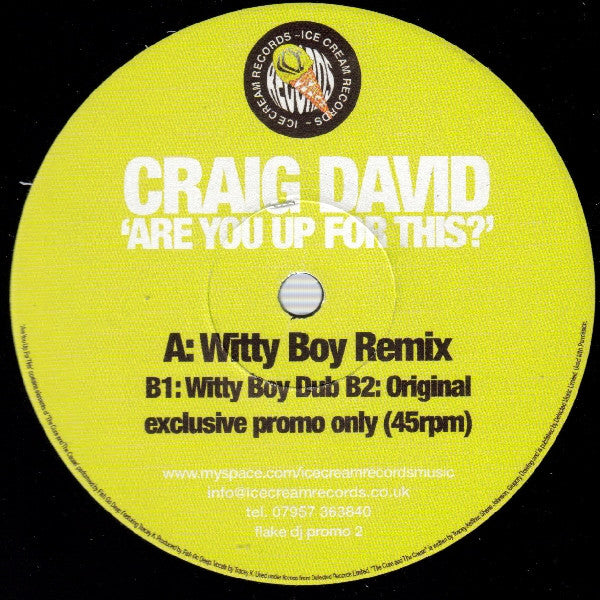 Craig David : Are You Up For This (12", Promo)
