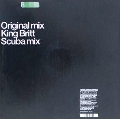 Brancaccio & Aisher : Everybody (12")