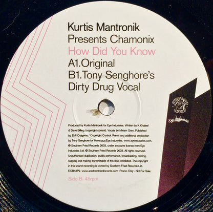 Kurtis Mantronik Presents Chamonix : How Did You Know (77 Strings) (Promo 2) (12", Promo)