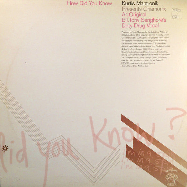 Kurtis Mantronik Presents Chamonix : How Did You Know (77 Strings) (Promo 2) (12", Promo)
