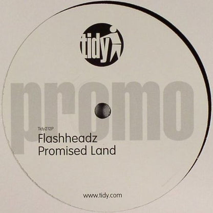 Flashheadz : Wizards Of The Sonic / Promised Land (12", Promo)
