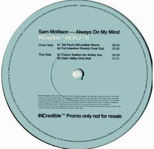 Sam Mollison : Always On My Mind (2x12", Promo)