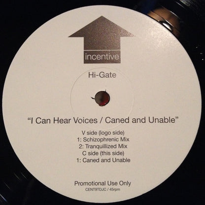 Hi-Gate : I Can Hear Voices / Caned And Unable (12", Promo)