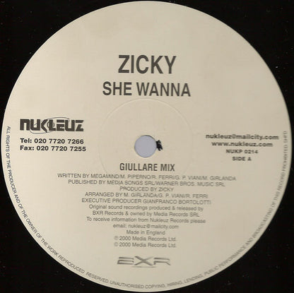 Zicky : She Wanna (12")