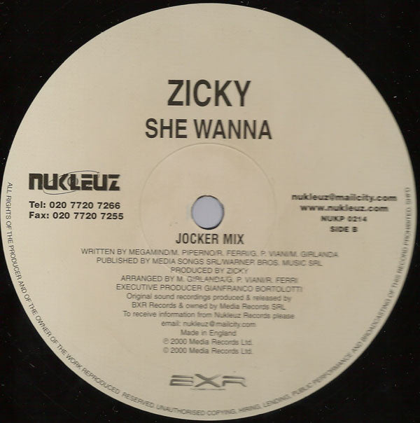 Zicky : She Wanna (12")