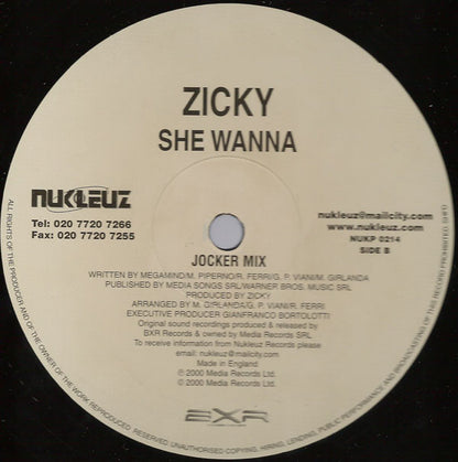 Zicky : She Wanna (12")