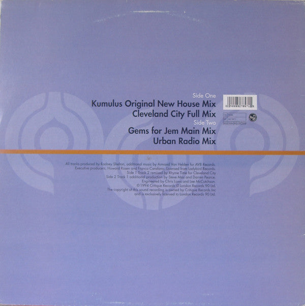 Tonja Dantzler : In And Out Of My Life (12")