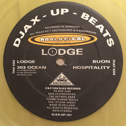 Analogical : Lodge (12", Yel)