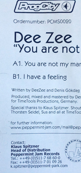 Dee Zee : You're Not My Man (12", Promo, W/Lbl)