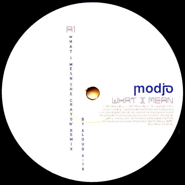 Modjo : What I Mean (2x12", Promo)