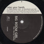 Big Room Girl Feat. Darryl Pandy : Raise Your Hands (12", Single, Promo)