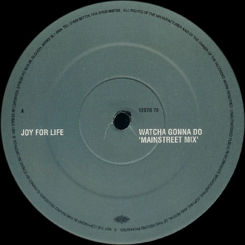 Joy For Life : Watcha Gonna Do / Warm It Up (12")