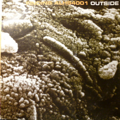 Outside : Finding ALH84001 (12")