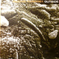 Outside : Finding ALH84001 (12")