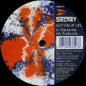 The Secret : Rhythm Of Life (12")