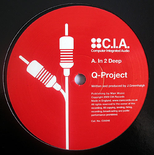 Q-Project* : In 2 Deep (12")