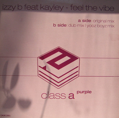 Izzy B feat Kayley : Feel The Vibe (12")