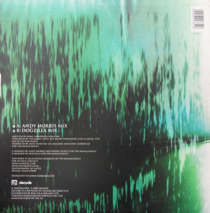 Poloroid : So Damn Beautiful (12")