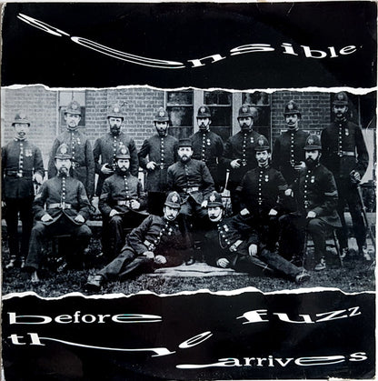 Sensible : Before The Fuzz Arrives (12")