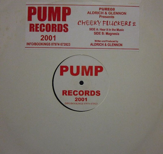Aldrich & Glennon : Cheeky Fluckers 2 (12")