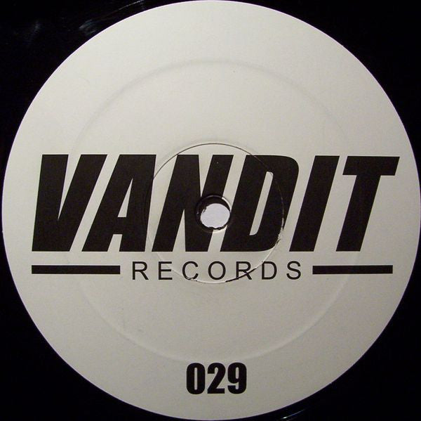 Starchaser Feat. Steve Edwards : Falling Star (12")