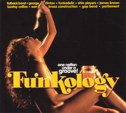 Various : Funkology - One Nation Under A Groove! (4xLP, Comp)