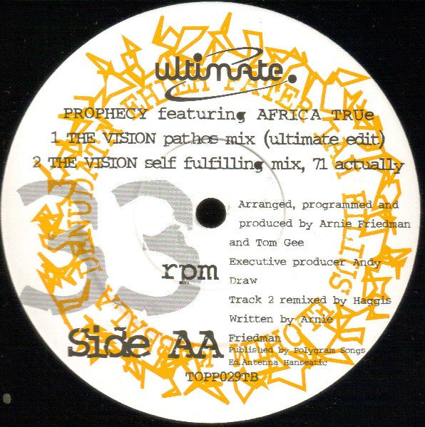 Prophecy (2) Featuring MC Africa True : The Vision (12", Single)