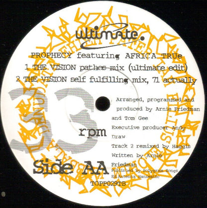 Prophecy (2) Featuring MC Africa True : The Vision (12", Single)