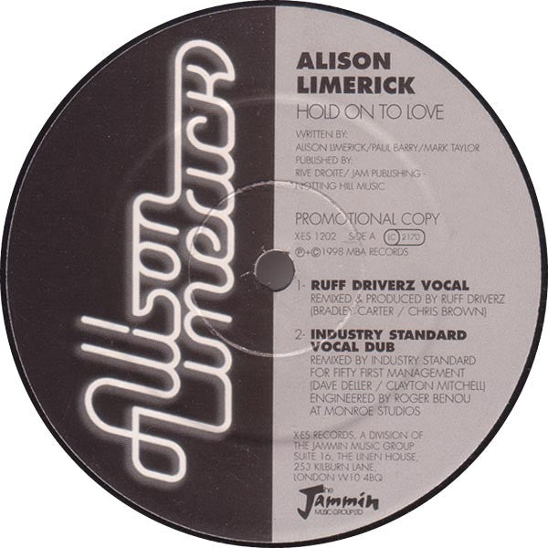 Alison Limerick : Hold On To Love (12", Promo)