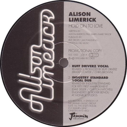 Alison Limerick : Hold On To Love (12", Promo)