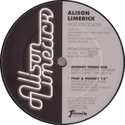 Alison Limerick : Hold On To Love (12", Promo)