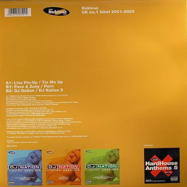 Various : DJ Nation X-Rated Sessions Part 2 (12")
