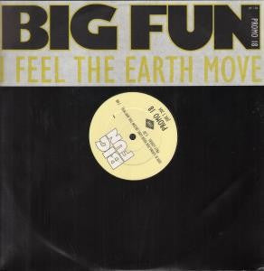 Big Fun : I Feel The Earth Move (12", Promo)