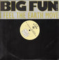 Big Fun : I Feel The Earth Move (12", Promo)