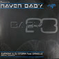 Storm & Euphony Feat. Danielle (2) : Breathe / Disappear (12")