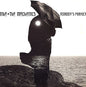 Mike & The Mechanics : Nobody's Perfect (12", EP)