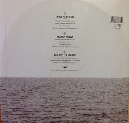 Mike & The Mechanics : Nobody's Perfect (12", EP)