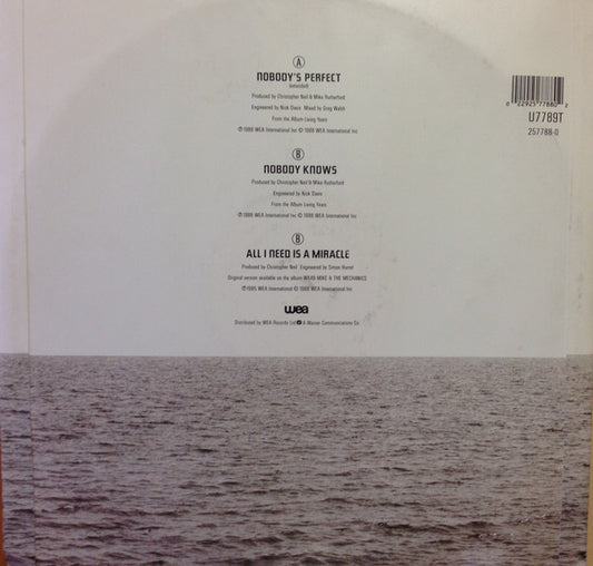 Mike & The Mechanics : Nobody's Perfect (12", EP)