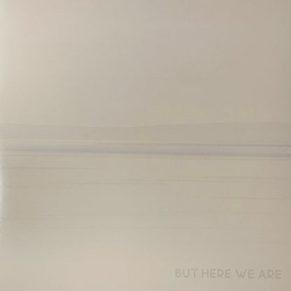 Foo Fighters : But Here We Are (LP, Album)