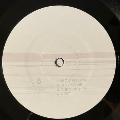Foo Fighters : But Here We Are (LP, Album)