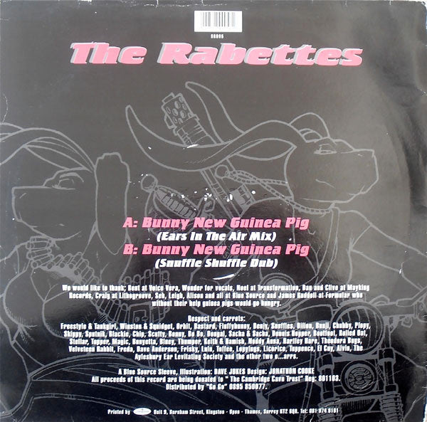The Rabettes Featuring Ice Bun : Bunny New Guinea Pig (12")