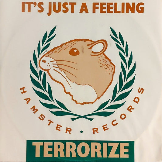 Terrorize : It's Just A Feeling (12")